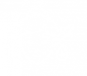 bbskin_icon_01